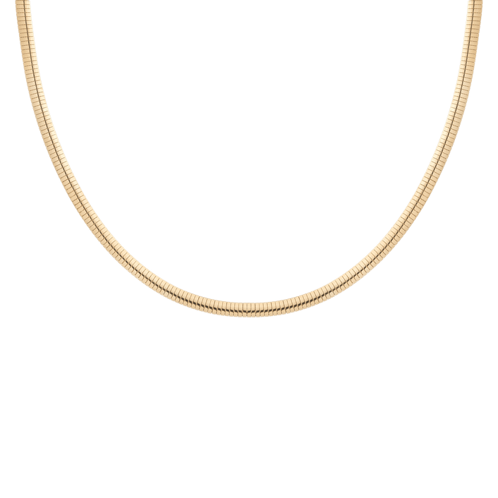 Omega Chain Necklace